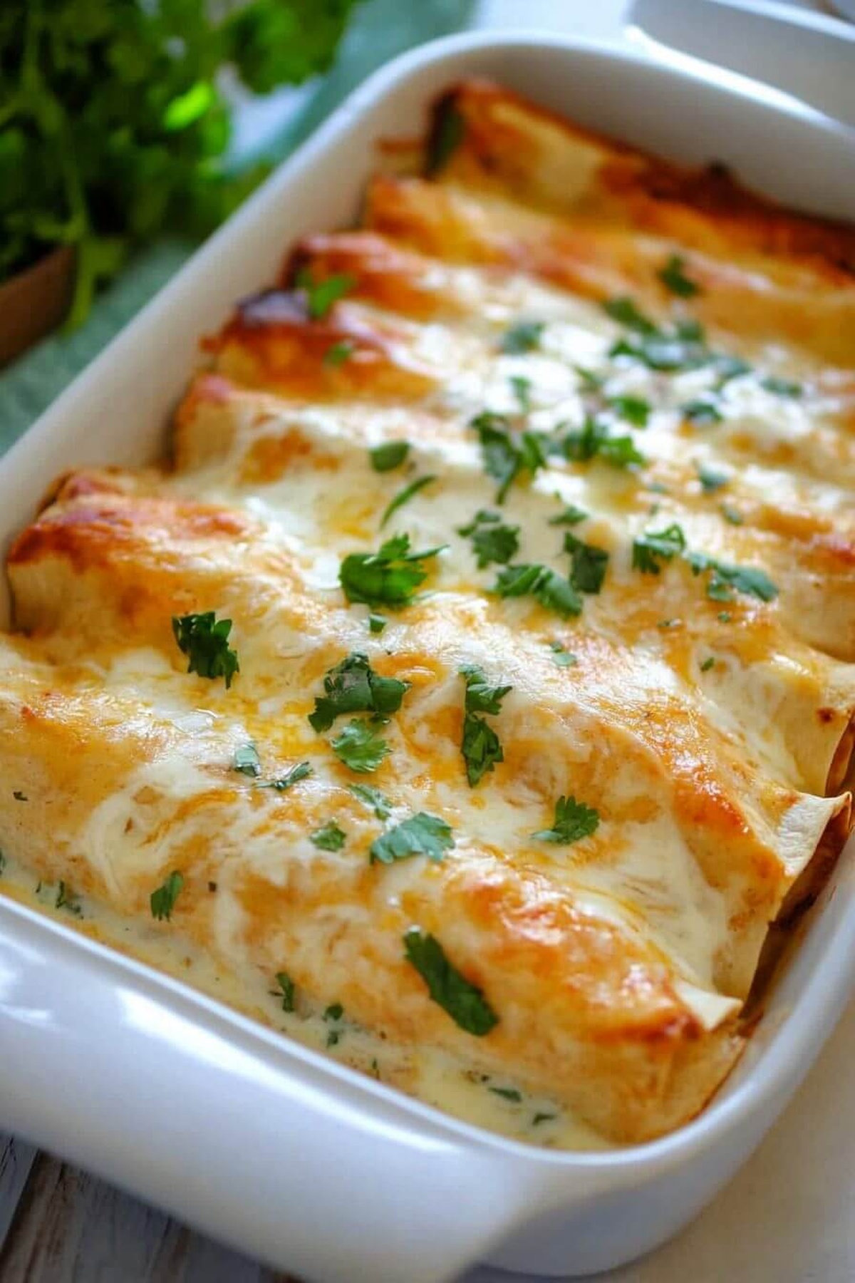 Chicken Enchiladas With Sour Cream White Sauce Recipe
