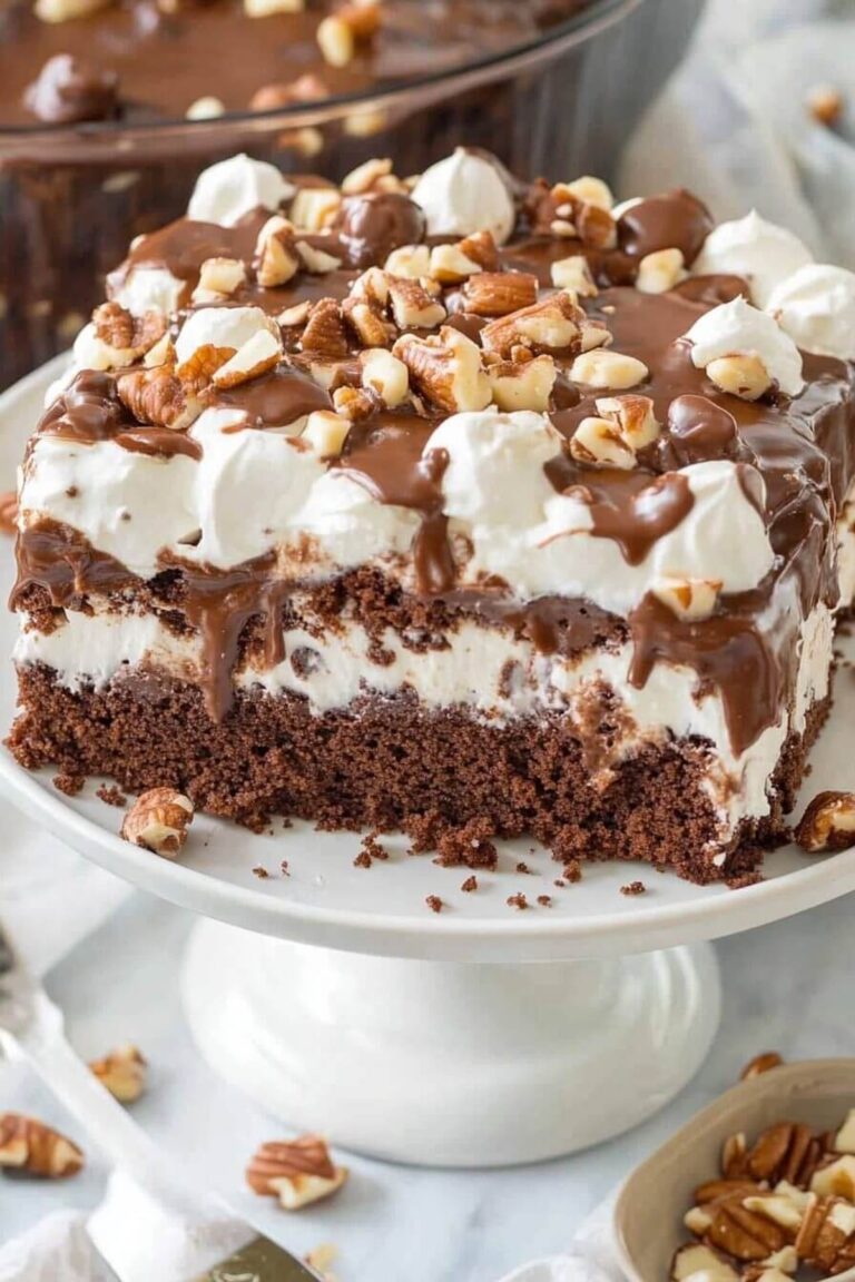 Mississippi Mud Cake Recipe