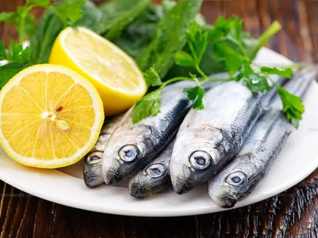 Sardines’ Nutrition Benefits Explained