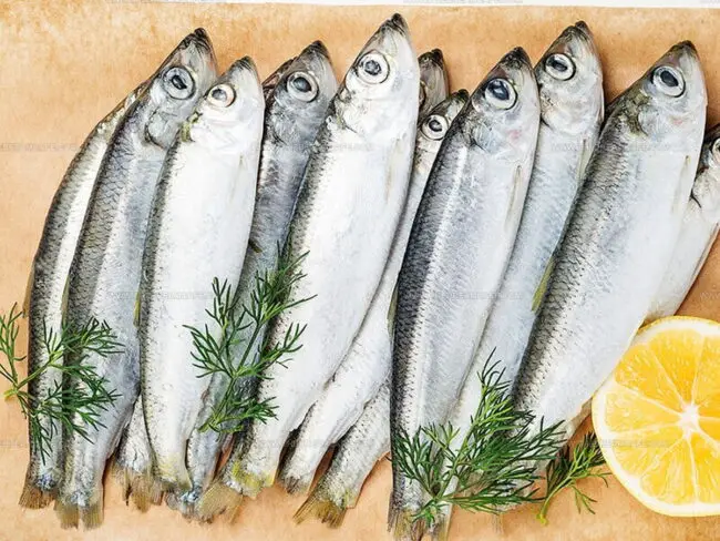 Buying and Storing Sardines Easily