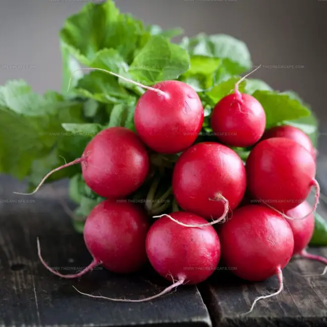 Radish