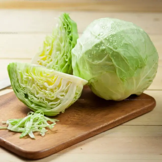 Cabbage