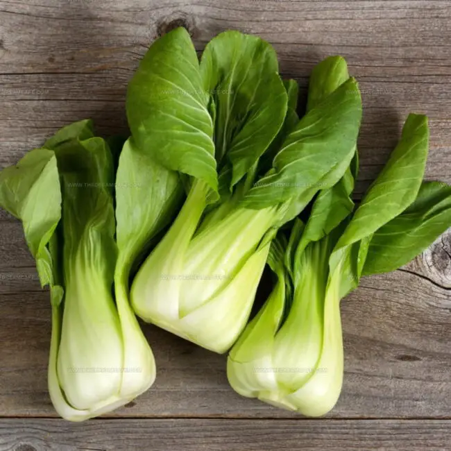 Bok Choy