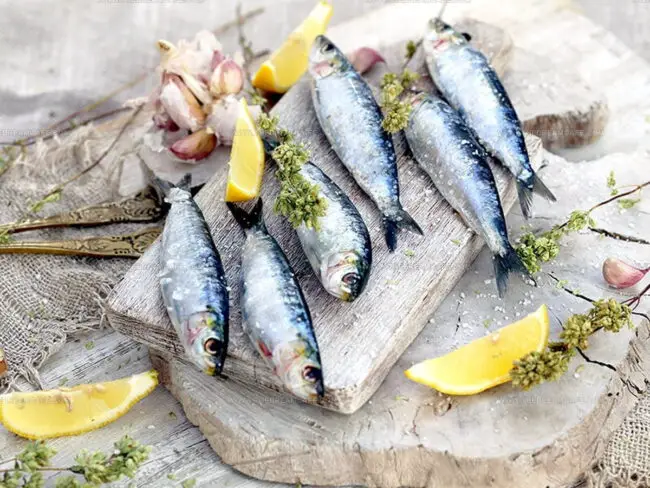 Fresh Sardines Are Best