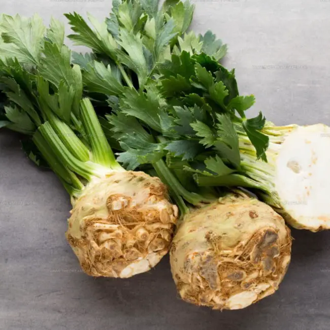 Celeriac