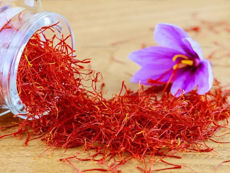 What Does Saffron Taste Like? A Golden Journey for Your Taste Buds