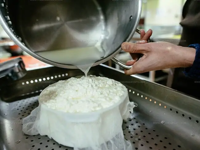 Steps To Make Cottage Cheese